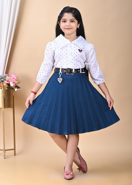 Blue Fit And Flare Frock With Attached Collar